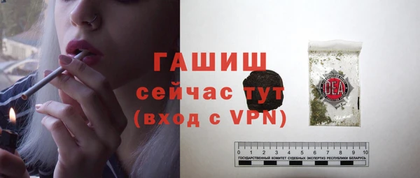 гидра Армянск