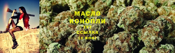 гидра Армянск