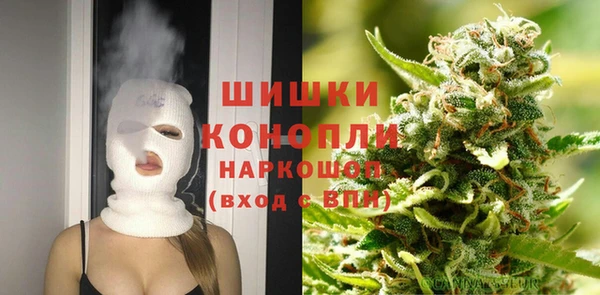 spice Арсеньев