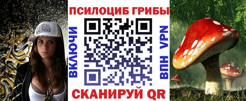 Псилоцибиновые грибы Psilocybine cubensis  Тара 