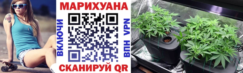 Канабис MAZAR  Тара 